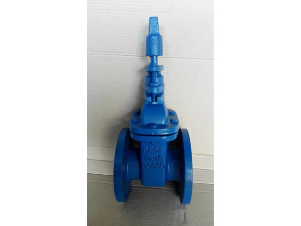 球鐵德標地下閘閥